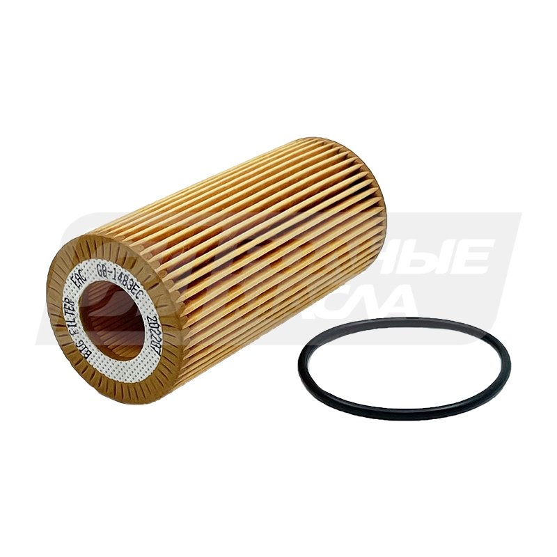 BIG FILTER GB-1483EC (VAG 06K115466, Porsche 95811546600) GB1483EC