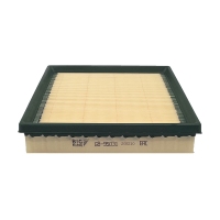 BIG FILTER GB-95031 (C24025, LX2077/3, AP026/1, BMW 13717630911) GB95031